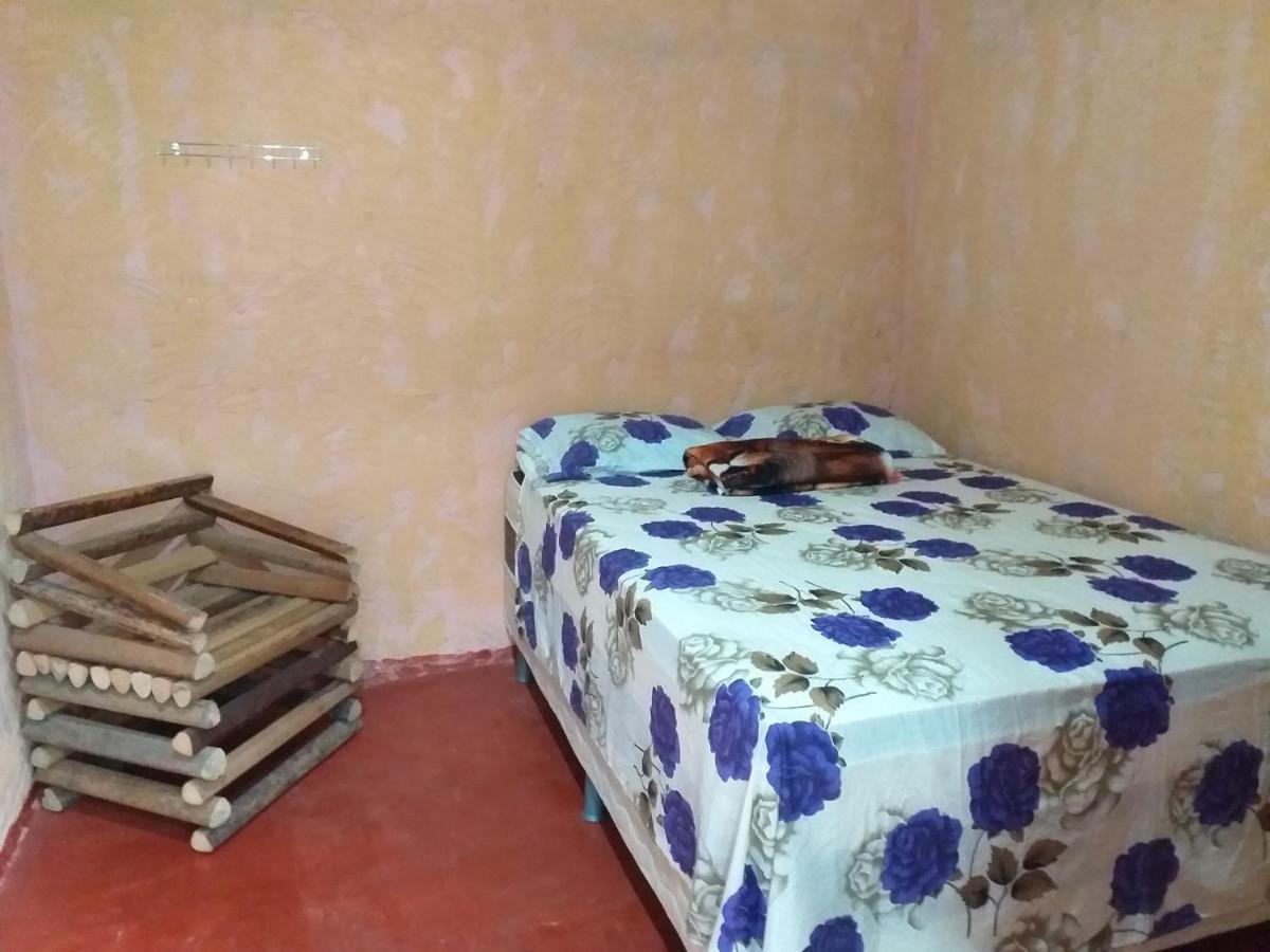 Refugio Raiz Camping كارولينا المظهر الخارجي الصورة