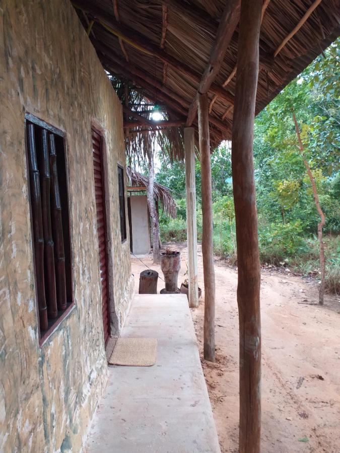 Refugio Raiz Camping كارولينا المظهر الخارجي الصورة