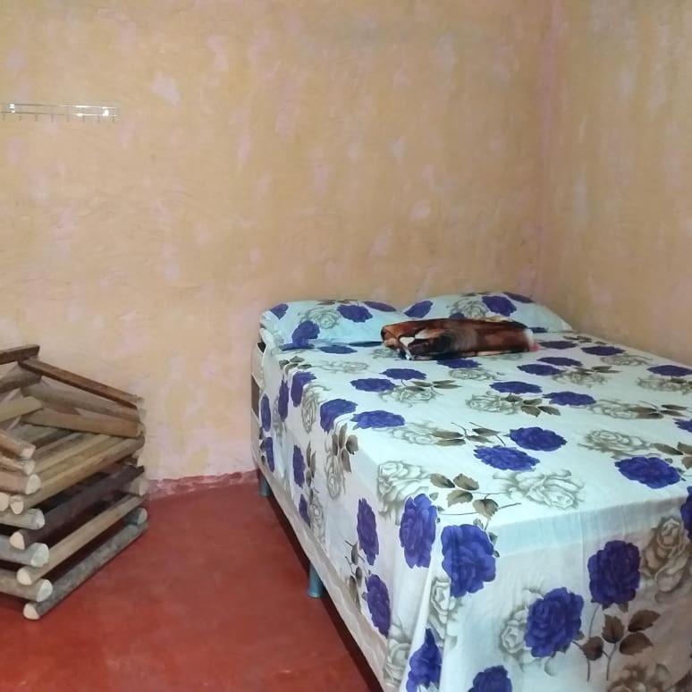 Refugio Raiz Camping كارولينا المظهر الخارجي الصورة