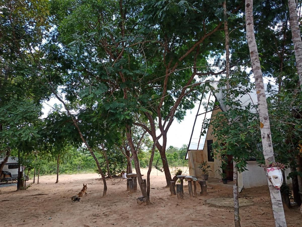 Refugio Raiz Camping كارولينا المظهر الخارجي الصورة