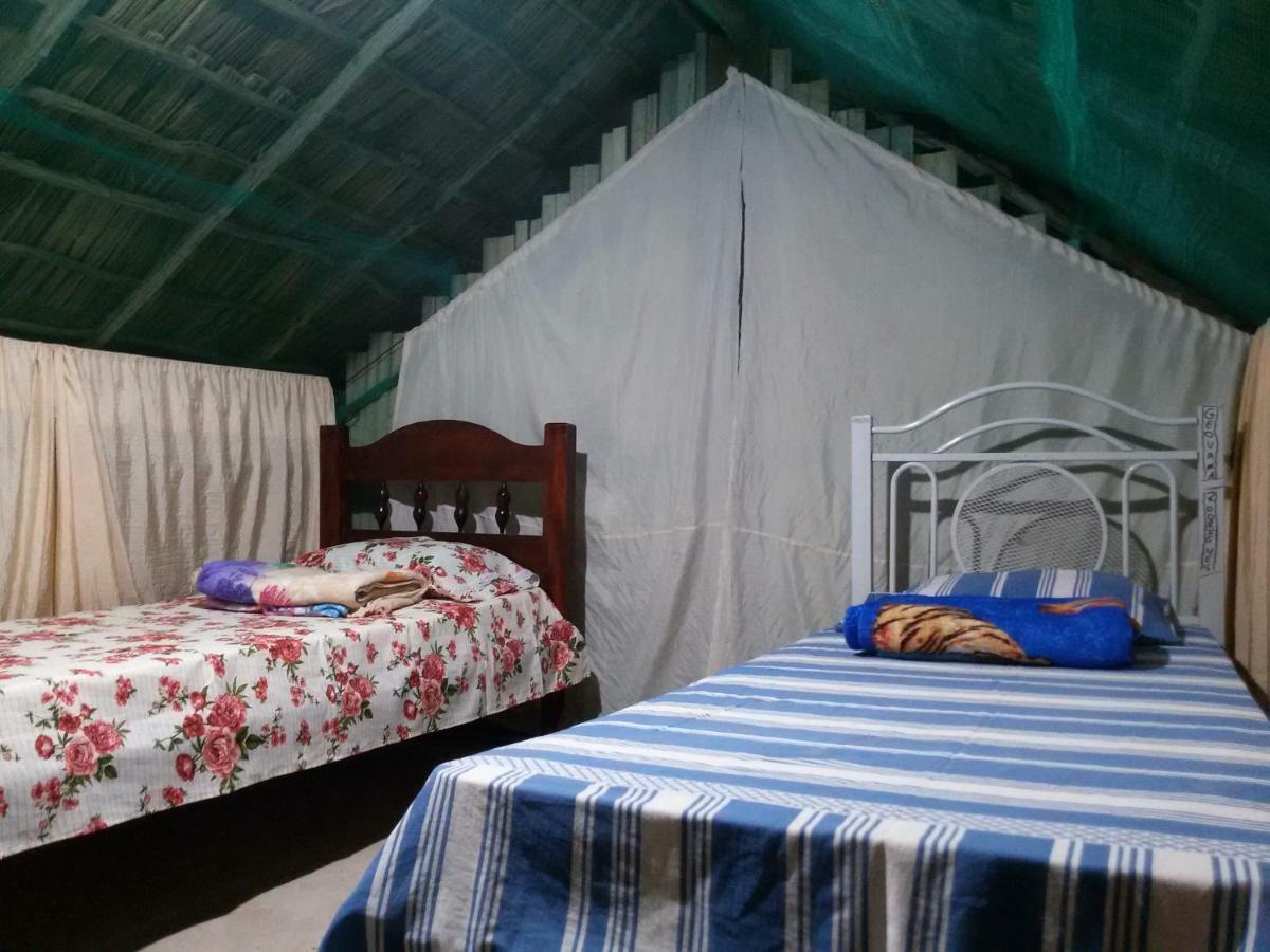 Refugio Raiz Camping كارولينا المظهر الخارجي الصورة