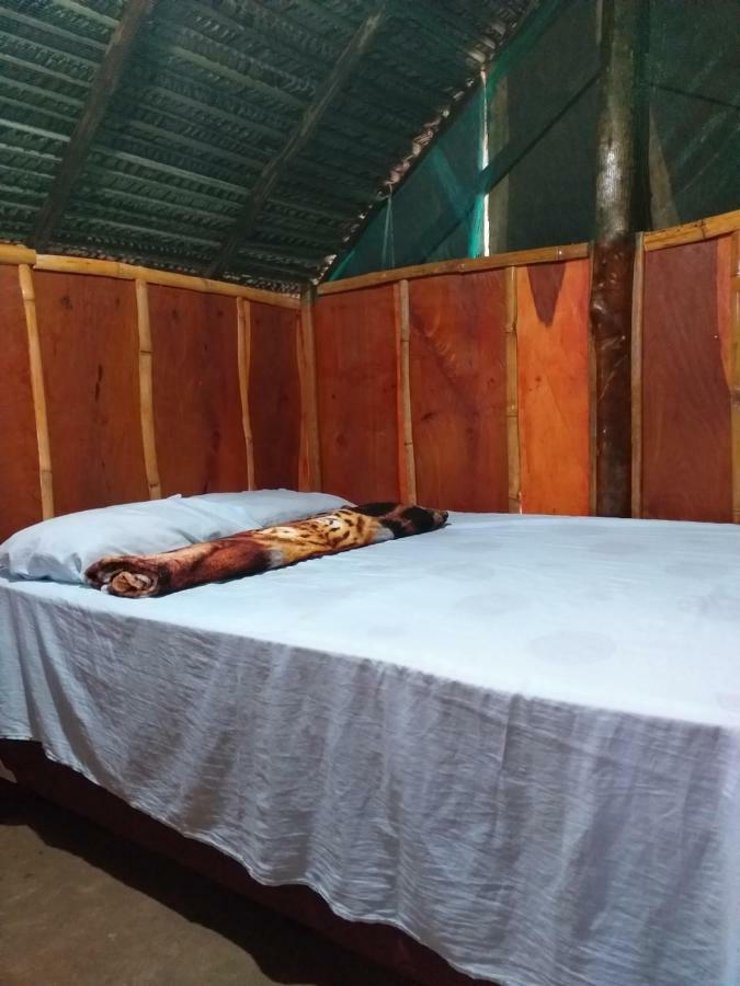 Refugio Raiz Camping كارولينا المظهر الخارجي الصورة